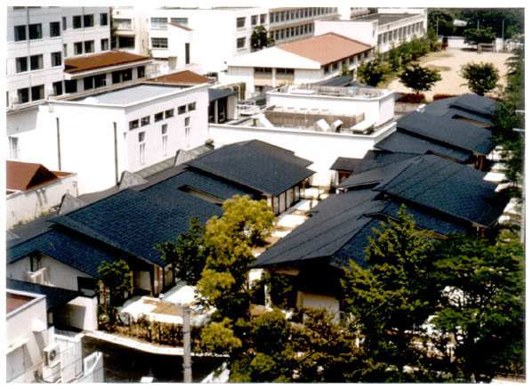 006-1.jpg