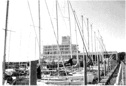 011-3.gif