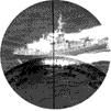 019-1.gif