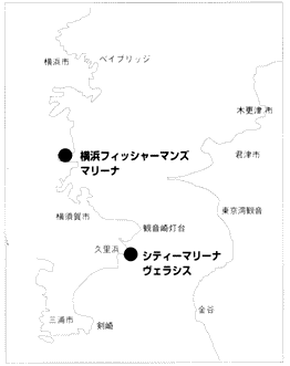 020-1.gif