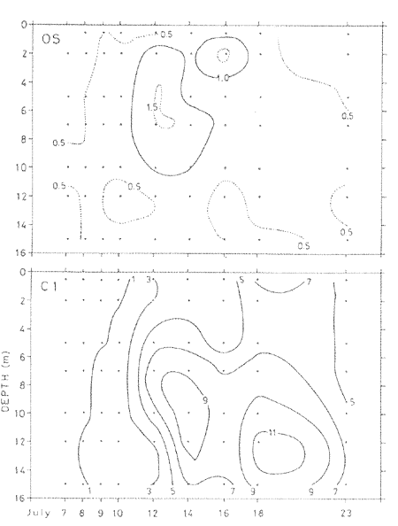 033-2.gif

