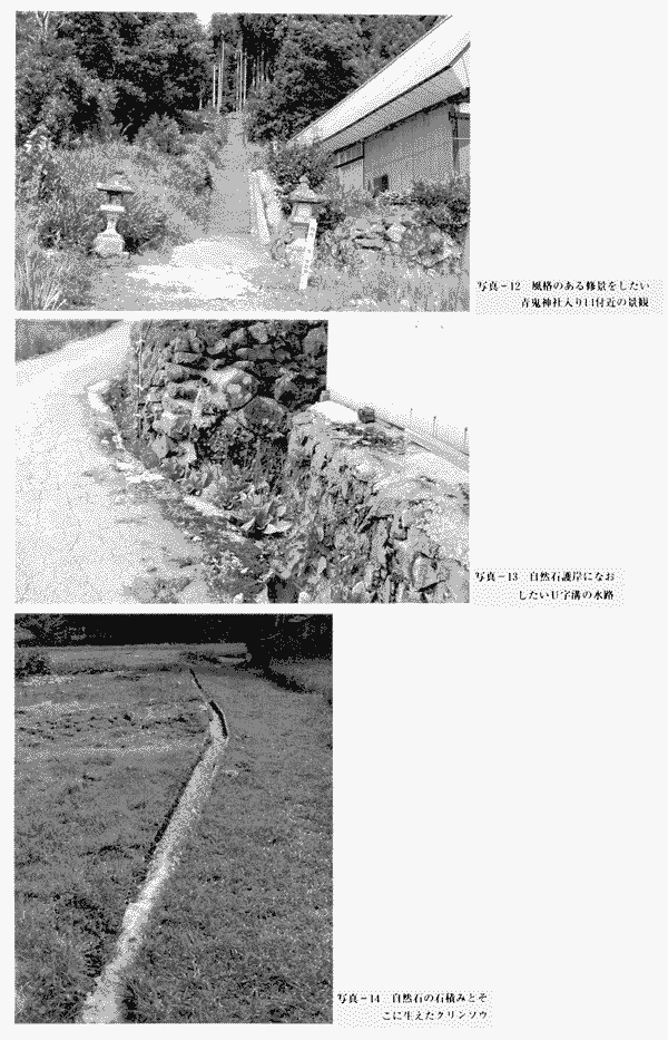 036-1.gif



