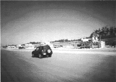 049-1.gif

