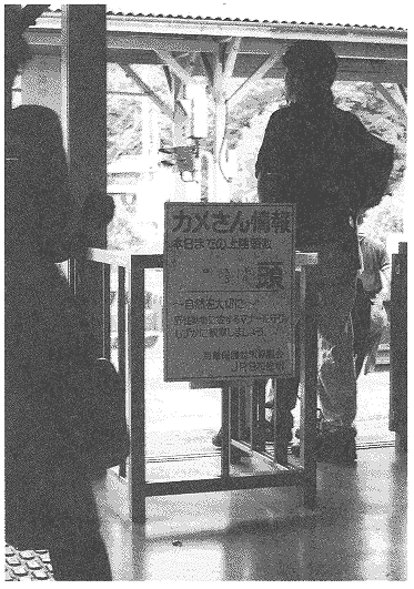 023-1.gif



