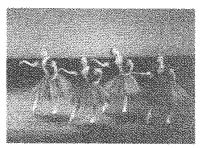 010-1.gif



