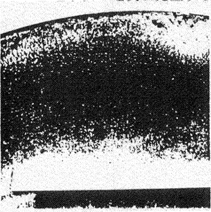 017-2.gif