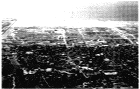 121-2.gif



