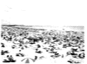 122-3.gif



