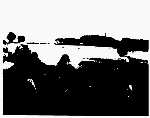 062-1.gif





