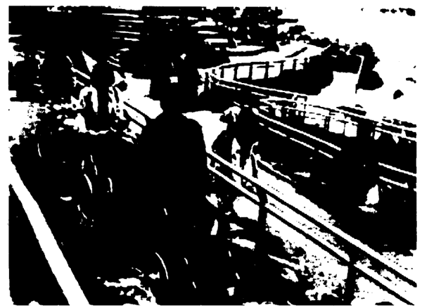 064-1.gif





