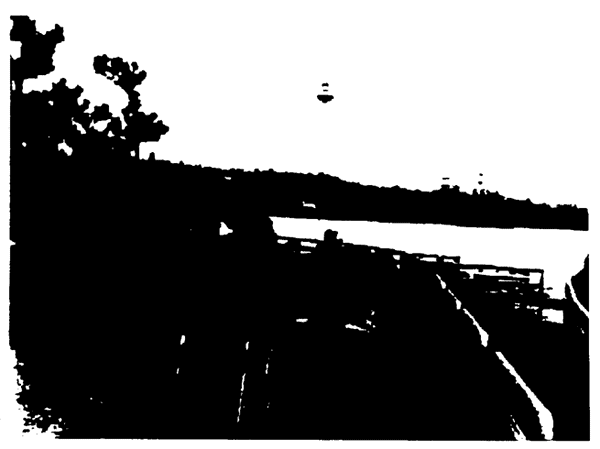 064-2.gif





