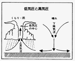 019-2.gif