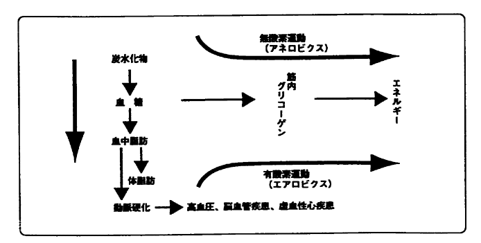 030-2.gif
