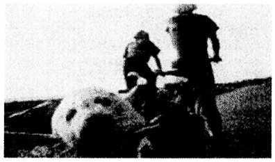 003-1.gif



