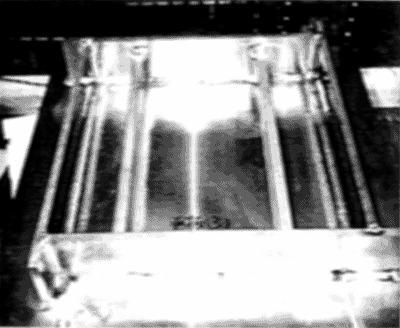 017-3.gif



