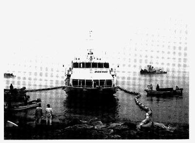 013-1.gif