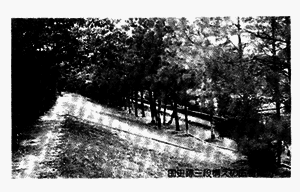 018-3.gif