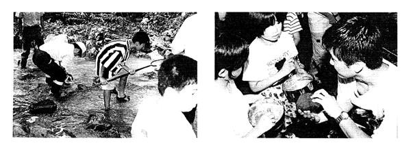063-1.gif