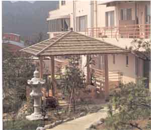002-3.jpg



