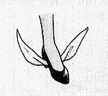 028-4.gif