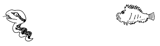 019-2.gif








