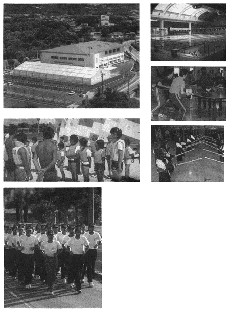 056-1.gif