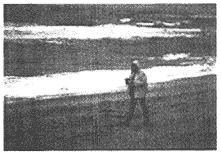053-3.gif