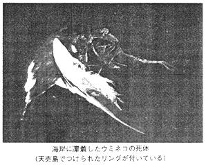 055-1.gif