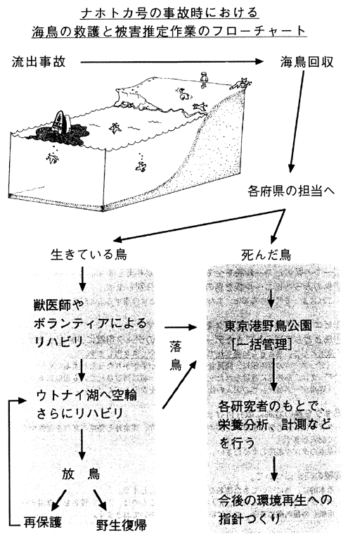 067-1.gif