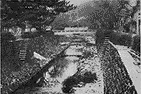 123-3.gif