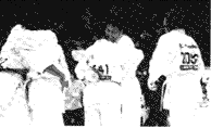 005-3.gif