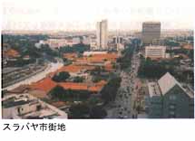 013-1.jpg