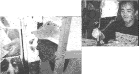002-5.gif
