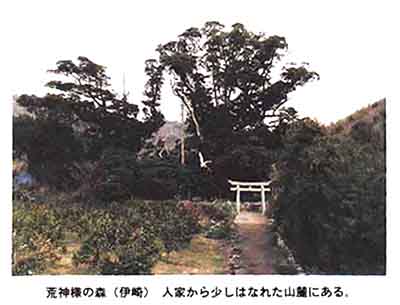 111-1.jpg