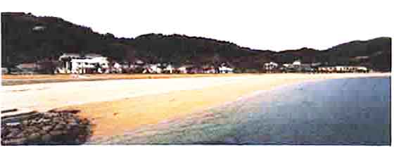 123-1.jpg
