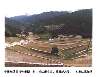 141-1.jpg
