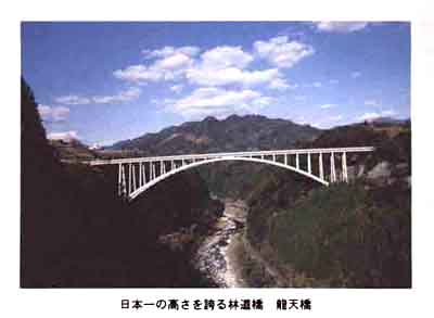 179-1.jpg