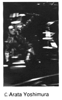 009-3.gif