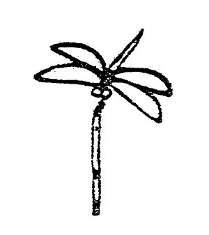001-1.gif