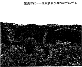 009-2.gif