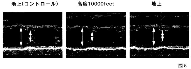 061-1.gif