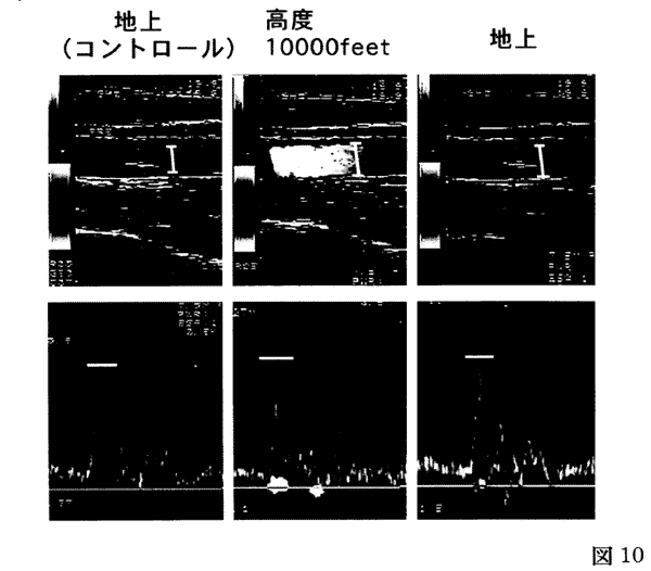 066-1.gif