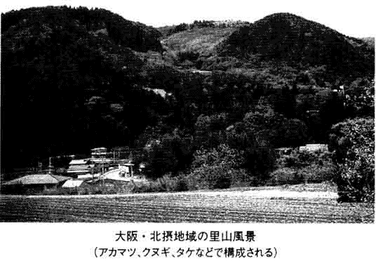 004-1.gif