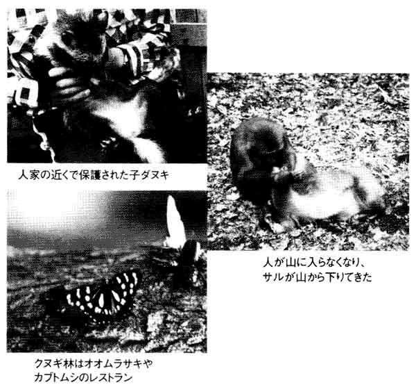 008-1.gif