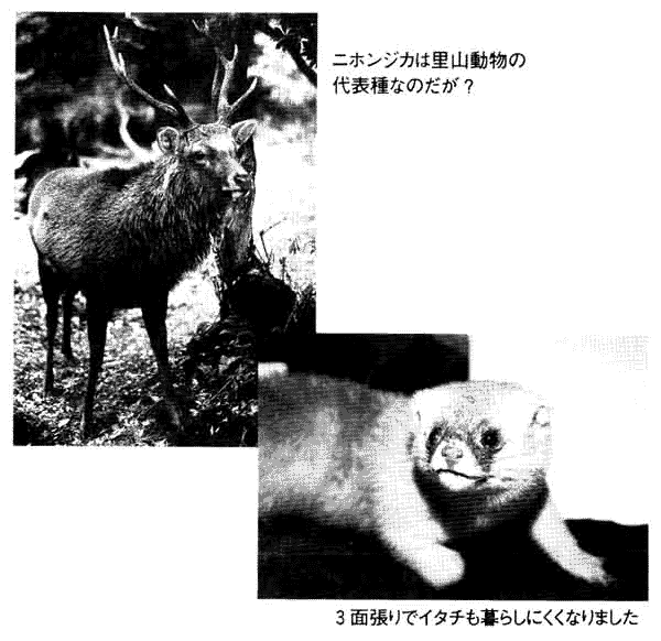 009-1.gif