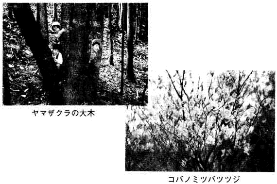 021-1.gif