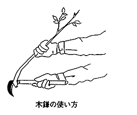 061-1.gif