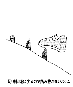061-3.gif