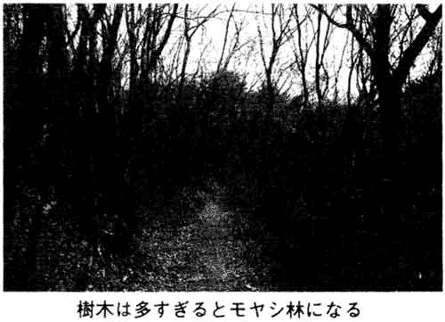 063-1.gif 