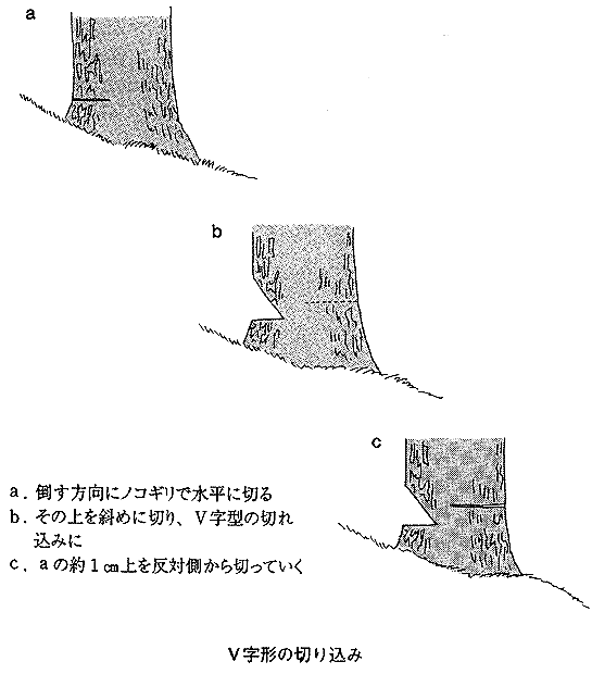 064-2.gif